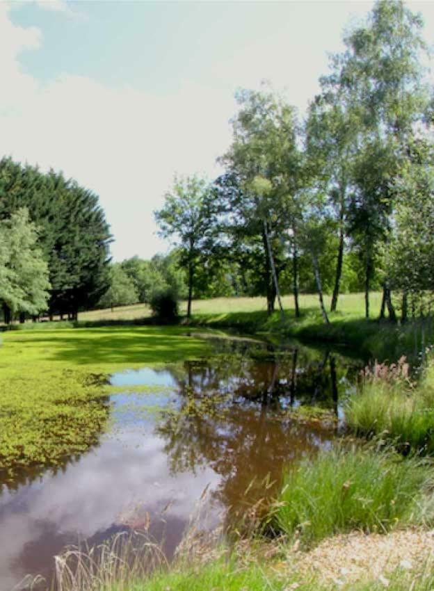Domaine Des Grandes Landes Βίλα Saint-Paul-la-Roche Εξωτερικό φωτογραφία